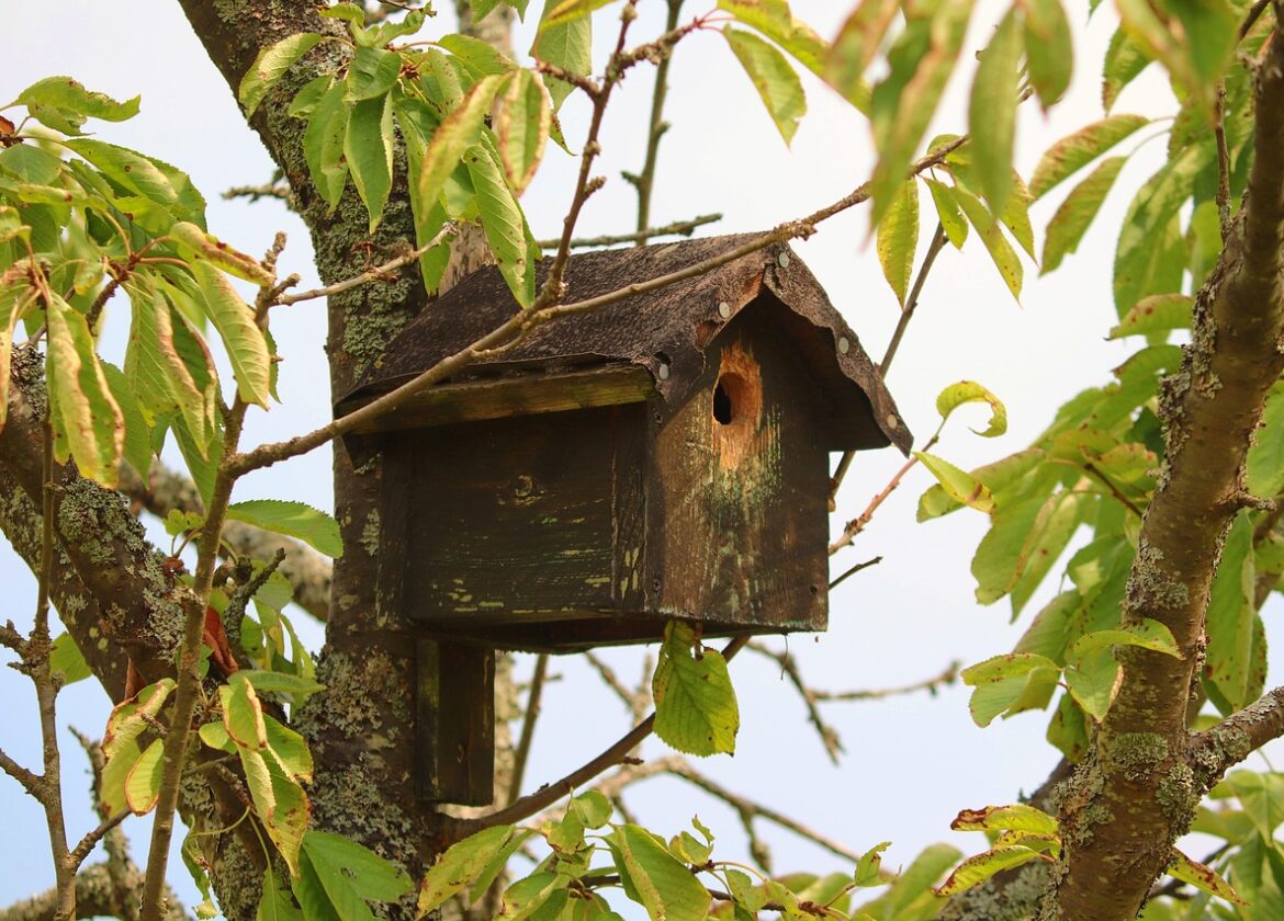 Futterhäuser für Vögel
