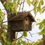 Möbel für Ihr Haus