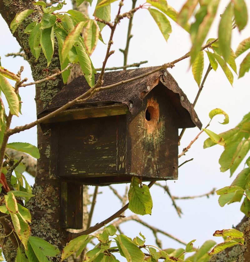 Futterhäuser für Vögel