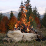 Futterhäuser für Vögel